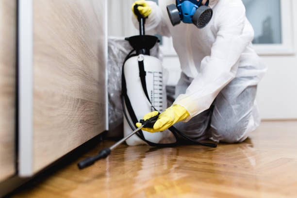 Best Wasp Removal Services  in Latimer, MS
