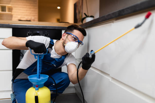 Best Ant Control Services  in Latimer, MS