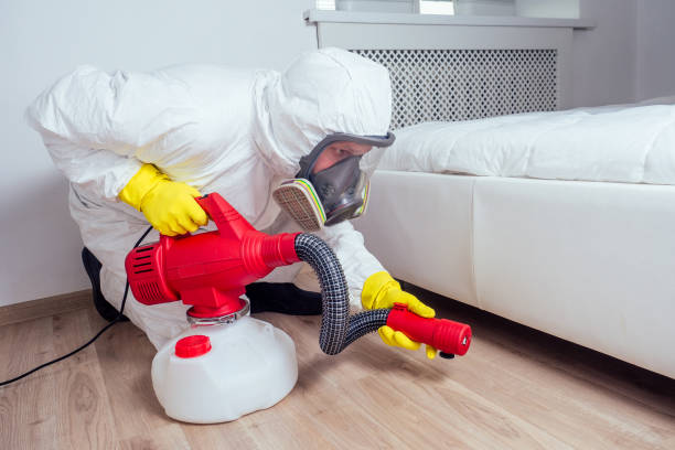 Best Best Pest Control Companies  in Latimer, MS