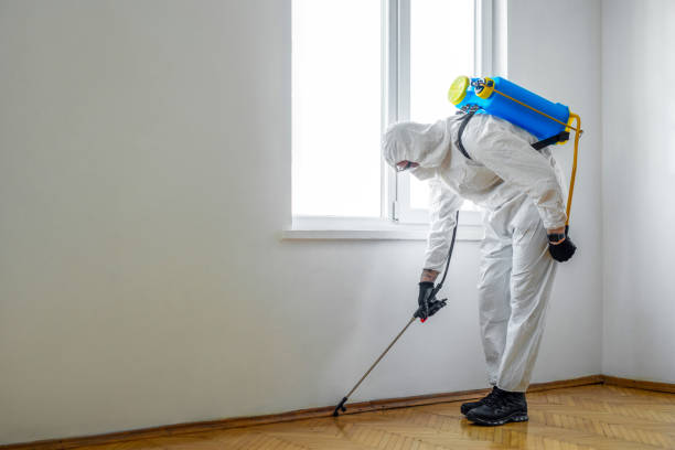 Best Cockroach Control Services  in Latimer, MS