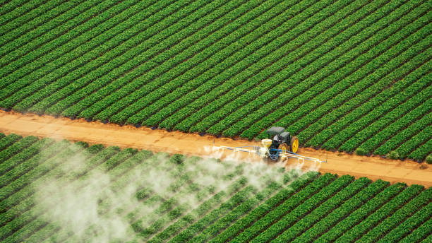 Best Pest Prevention Services  in Latimer, MS