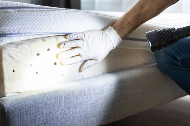 Best Wildlife Control Services  in Latimer, MS
